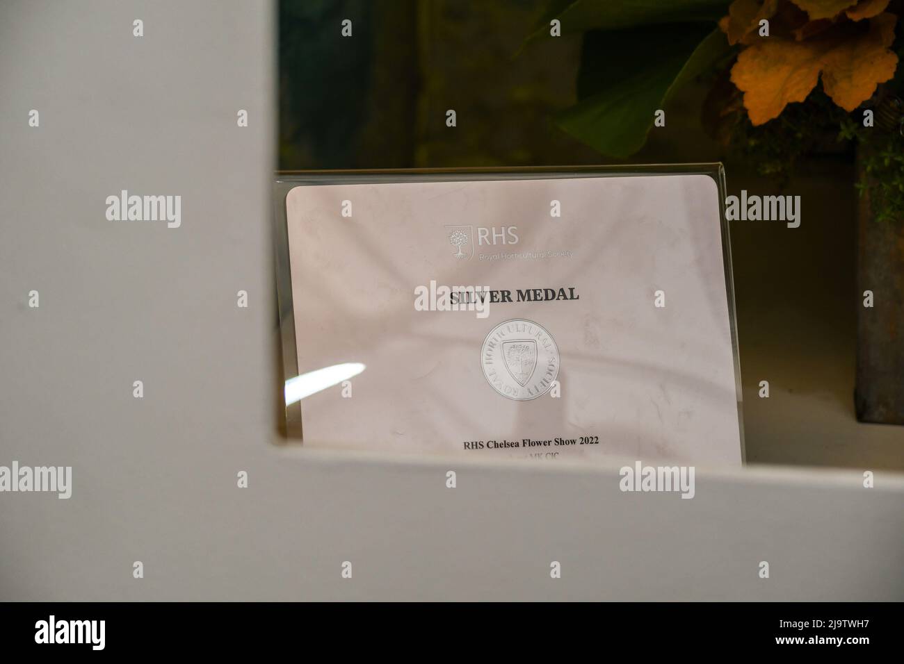 Chelsea Flower Show 2022 is open. Despite the thunderstorms It looks