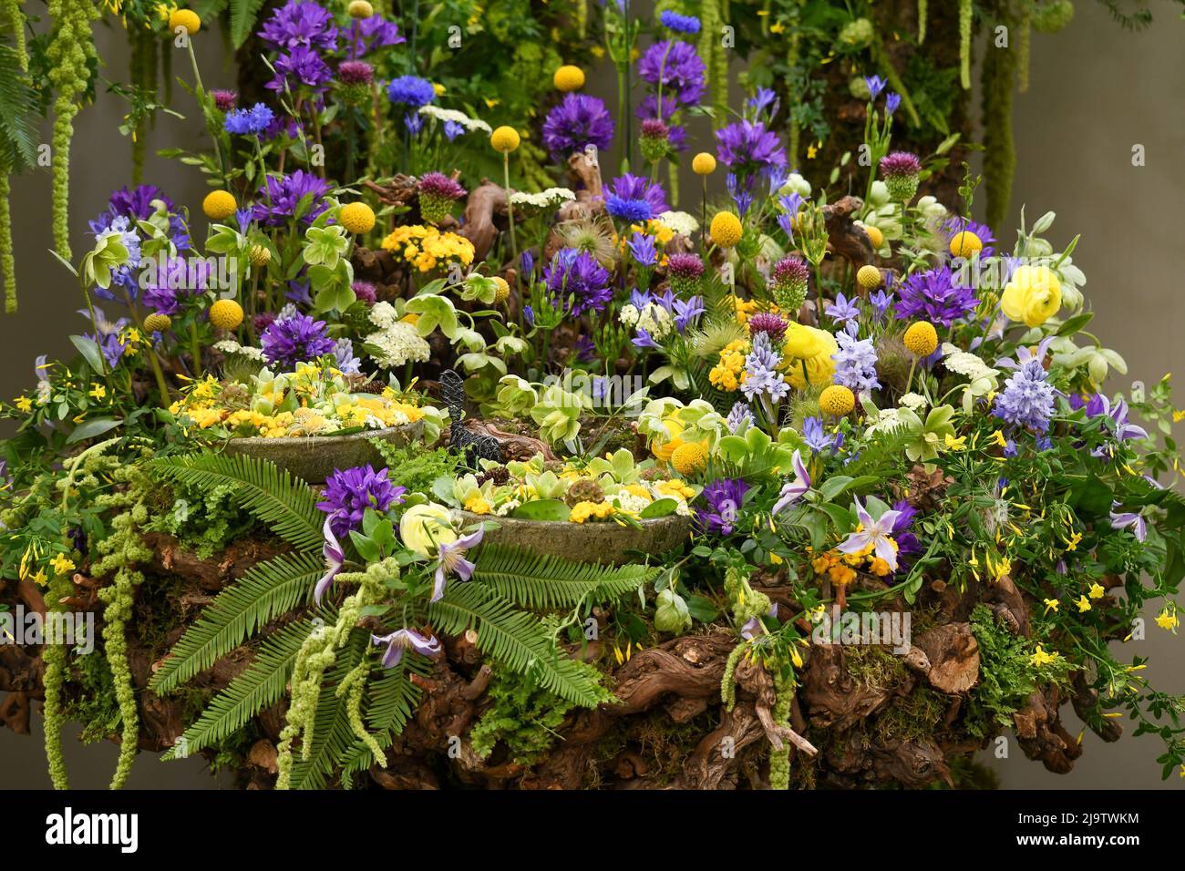 Chelsea Flower Show 2022 is open. Despite the thunderstorms It looks