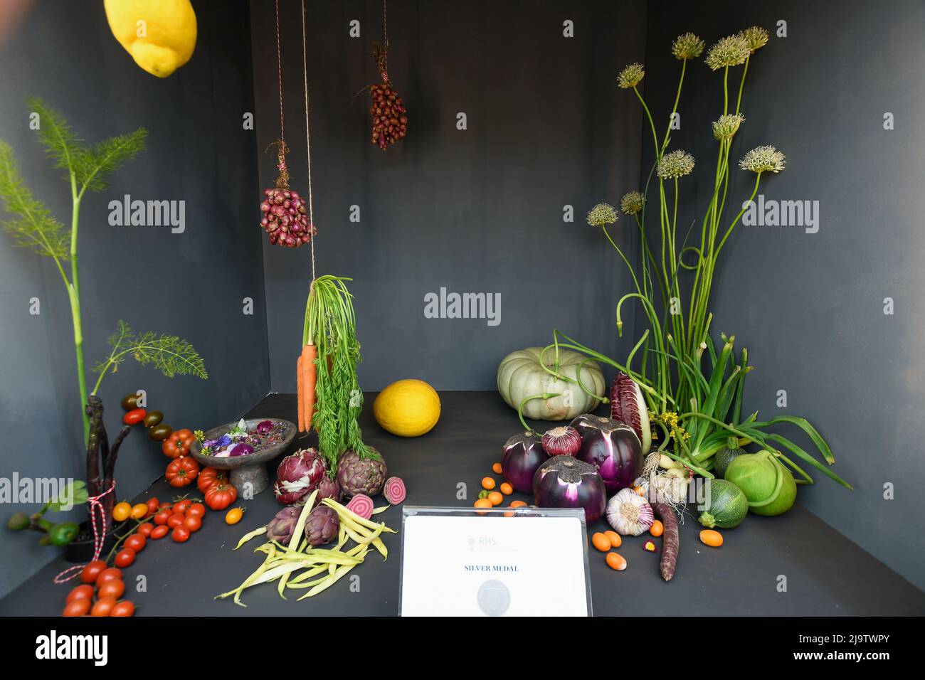 Chelsea Flower Show 2022 is open. Despite the thunderstorms It looks