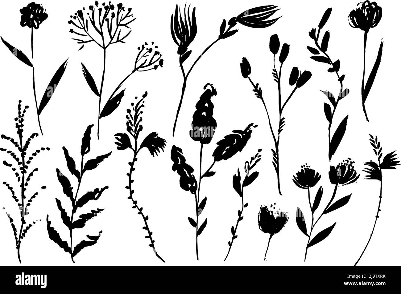 Hand drawn black wild flowers drawings collection. Stock Vector