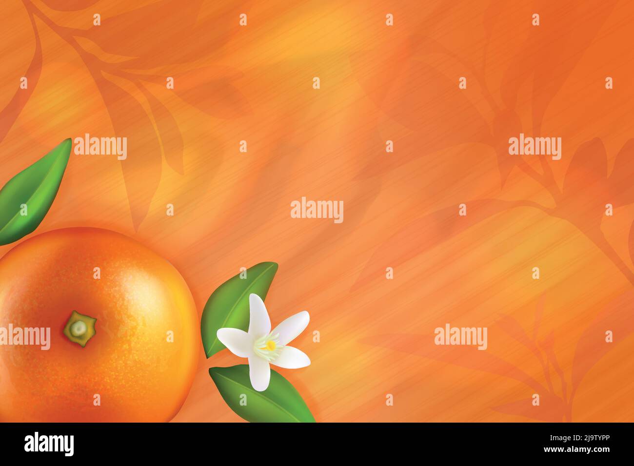 Fresh 3d orange top view vector illustration. Abstract silhouettes of orange tree branches, shadow light effect on surface and juicy citrus fruit with leaves and flower in corner of background Stock Vector