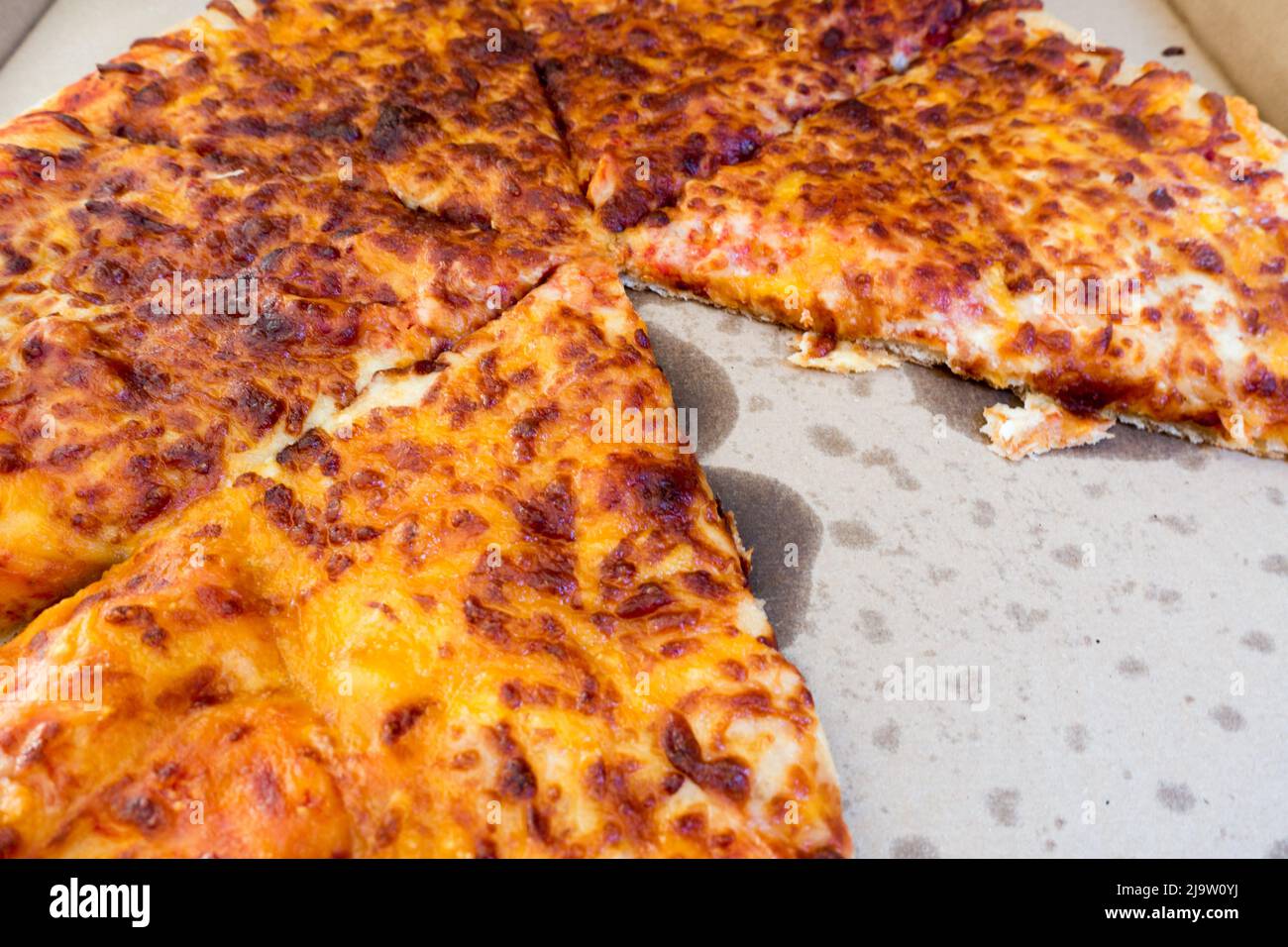 Five cheese Pizza in extra large size from Costco Stock Photo