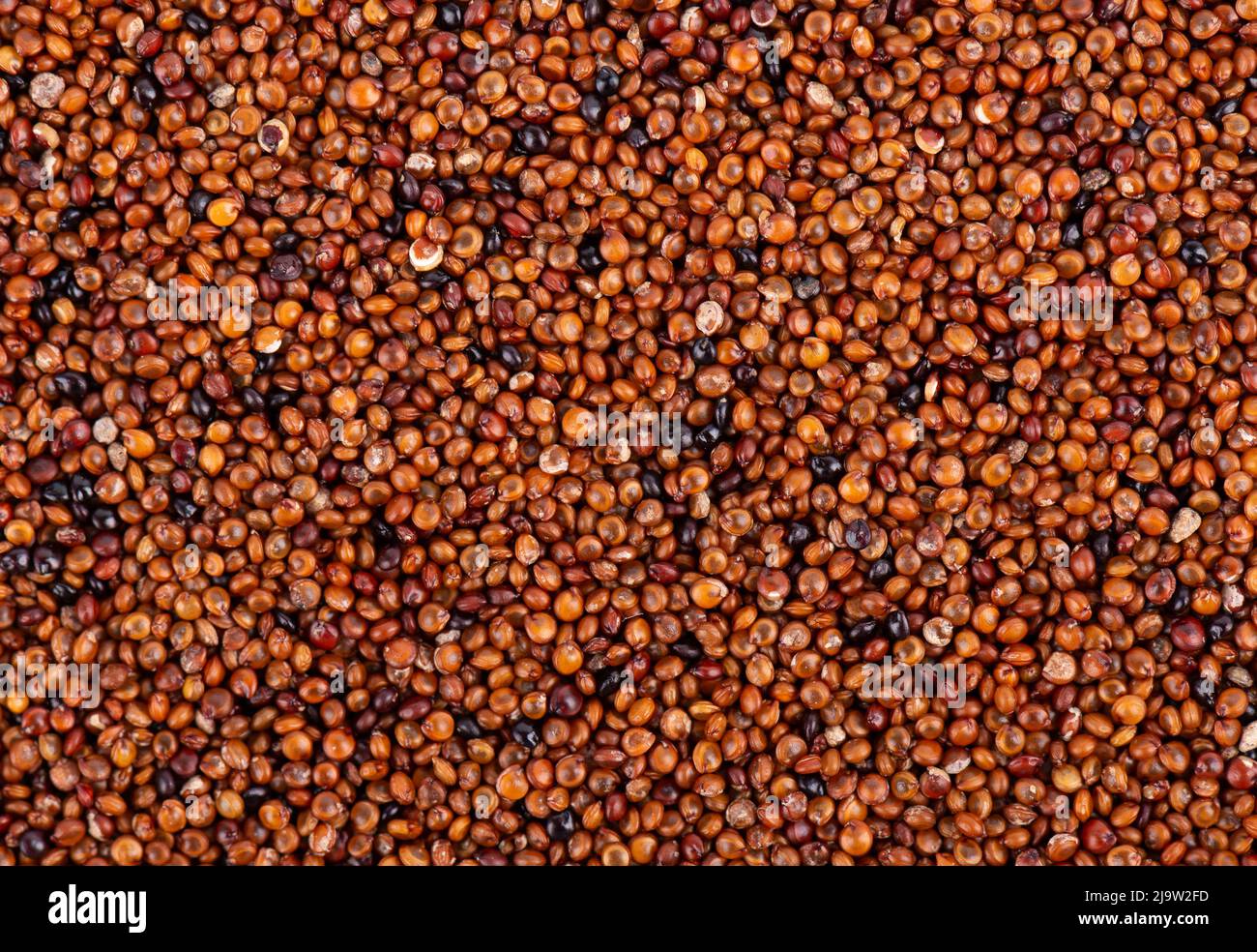 Canihua grains background. Qaniwa, qanawa, qanawi or kaniwa seeds. Dry grains of chenopodium pallidicaule. Top view Stock Photo