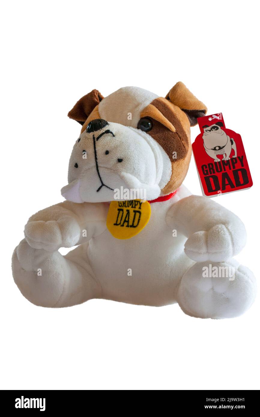 Grumpy Dad dog soft cuddly toy isolated on white background Stock Photo