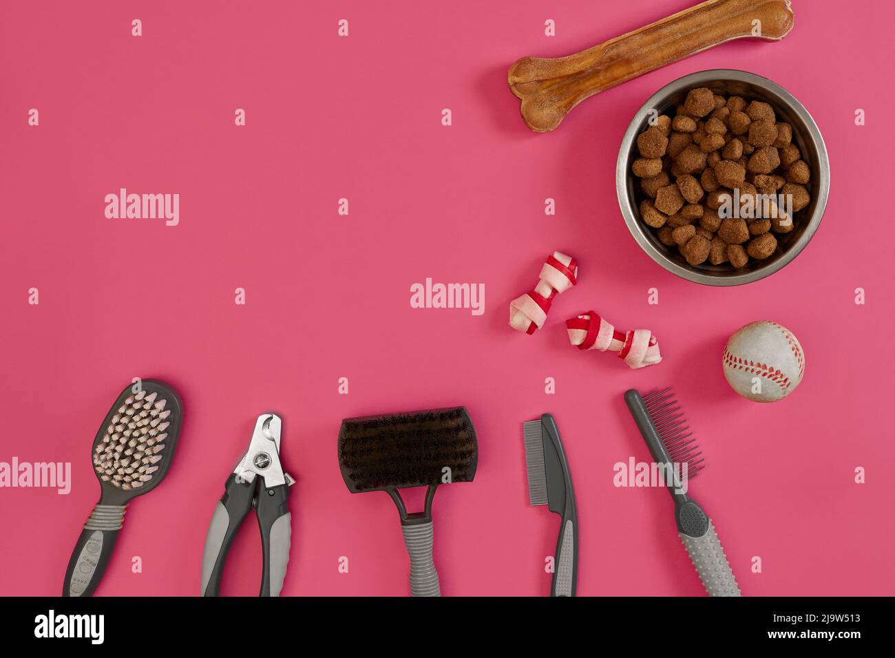 Accessories for the grooming of the dog. Combs and brushes for dogs