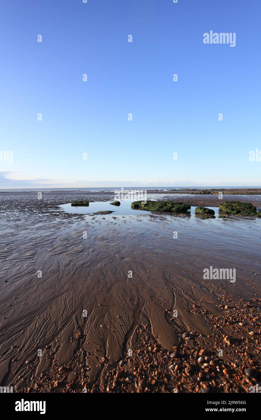 Bulverhythe Beach At Low Tide Exposing The Remains Of The The Sea Floor bulverhythe-beach-at-low-tide-exposing-the-remains-of-the-the-sea-floor
