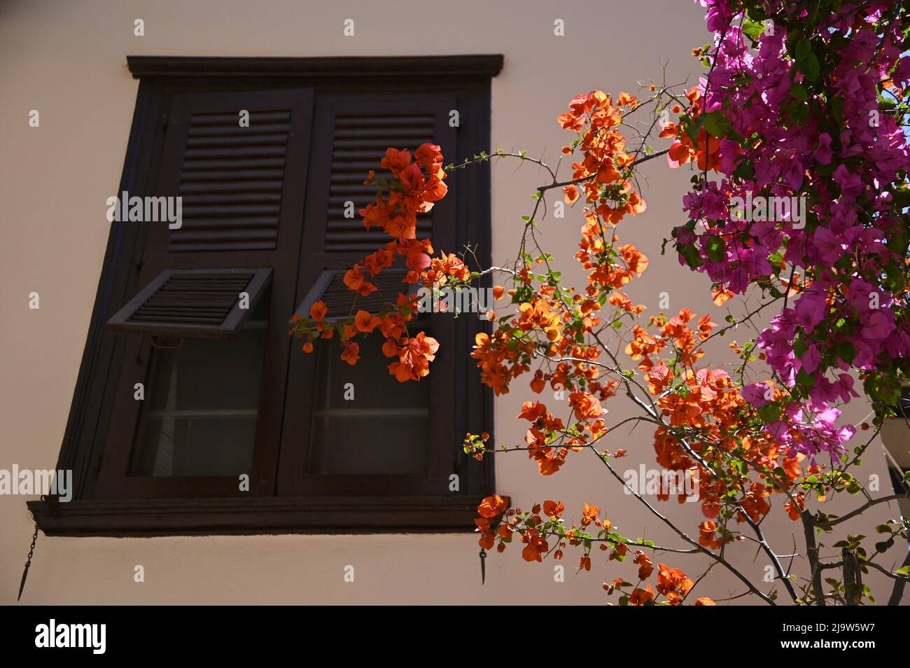 Old traditional rural house facade with wooden window shutters and a ...