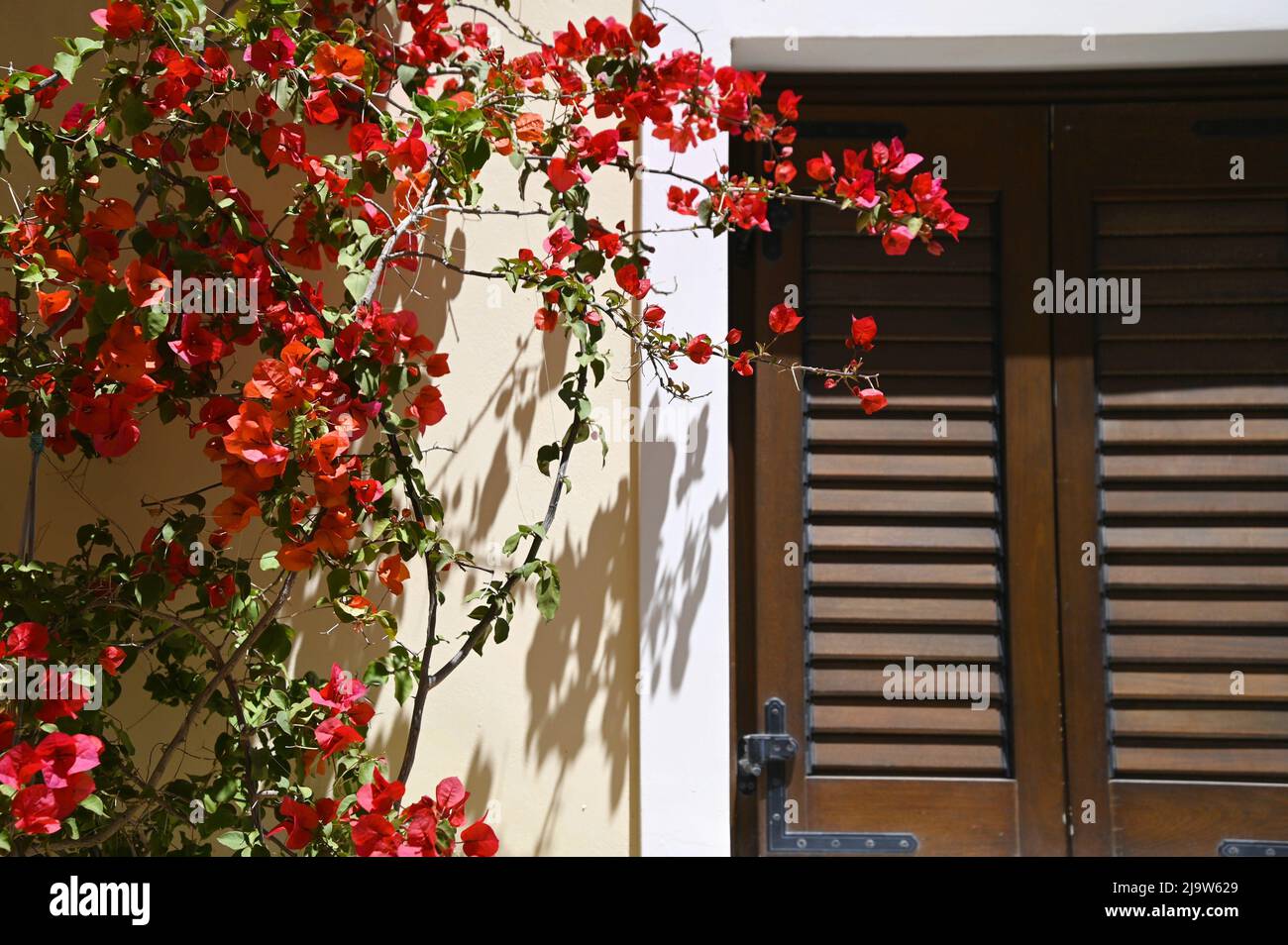 Old traditional rural house facade with wooden window shutters and a ...