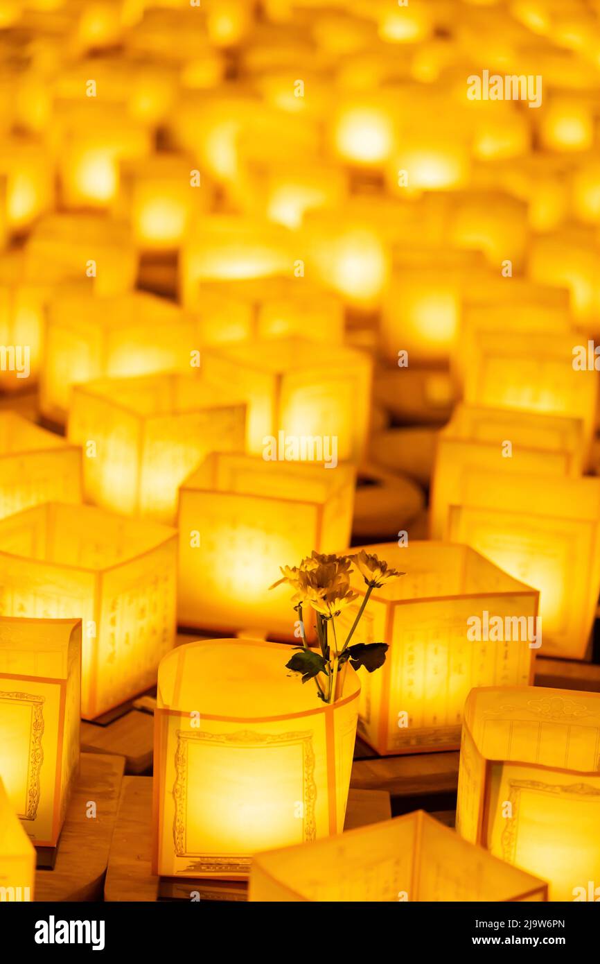 The Floating Lamp is a type of lamp that floats on the surface of the ...