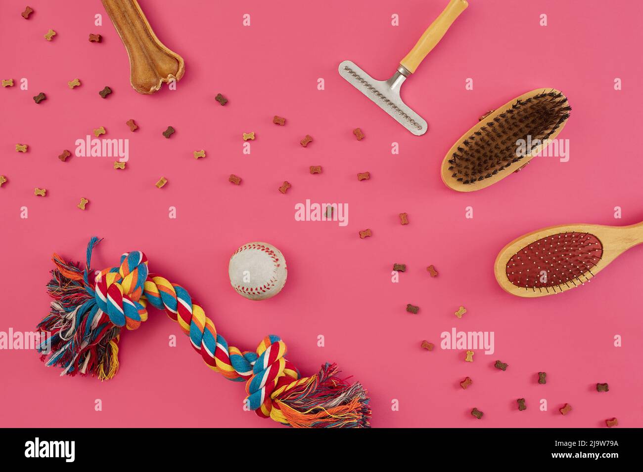 Accessories for the grooming of the dog. Combs and brushes for dogs