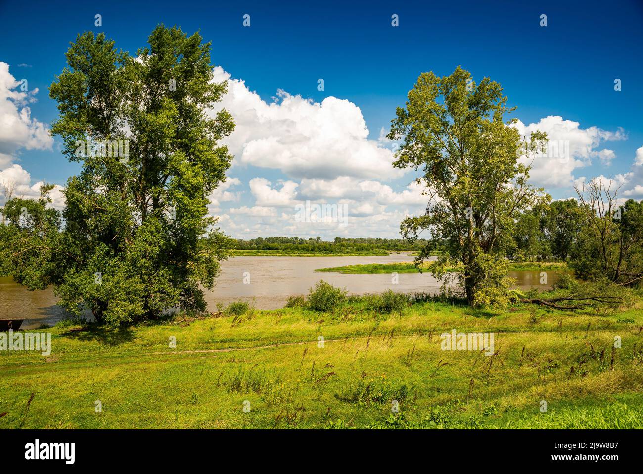 Brown water of poland river Vistula in Summer Stock Photo