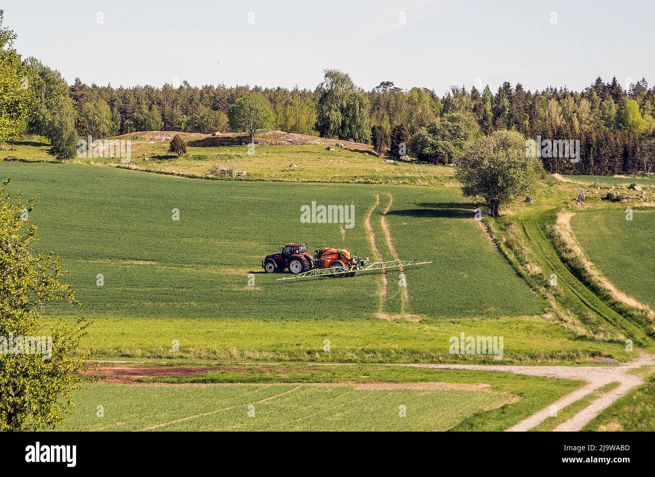 Spraying winter wheat crop in spring using a trailed sprayer, Stock Photo