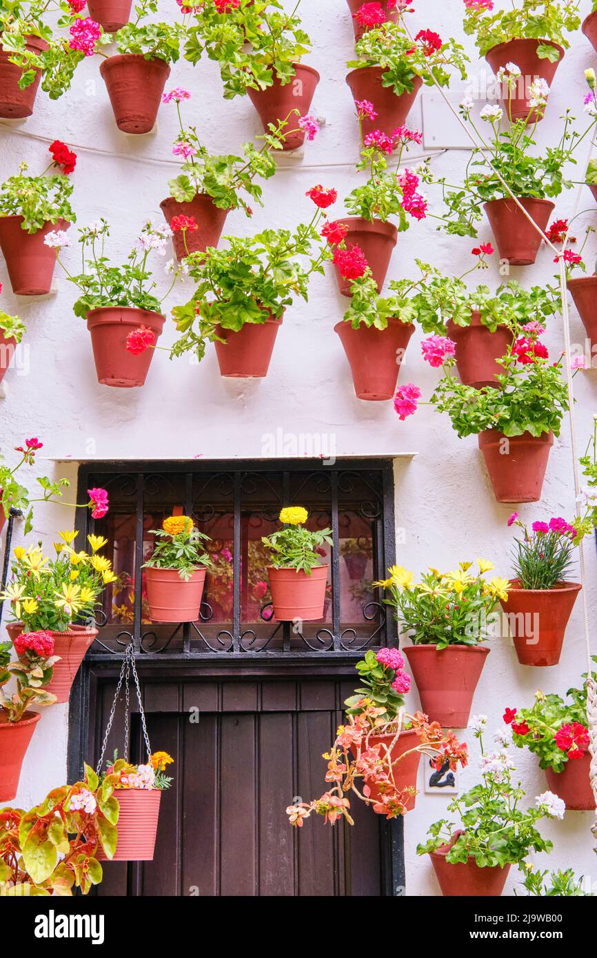 Detail of a traditional Patio of Cordoba, a courtyard full of flowers and freshness. A UNESCO Intangible Cultural Heritage of Humanity. Andalucia, Spa Stock Photo