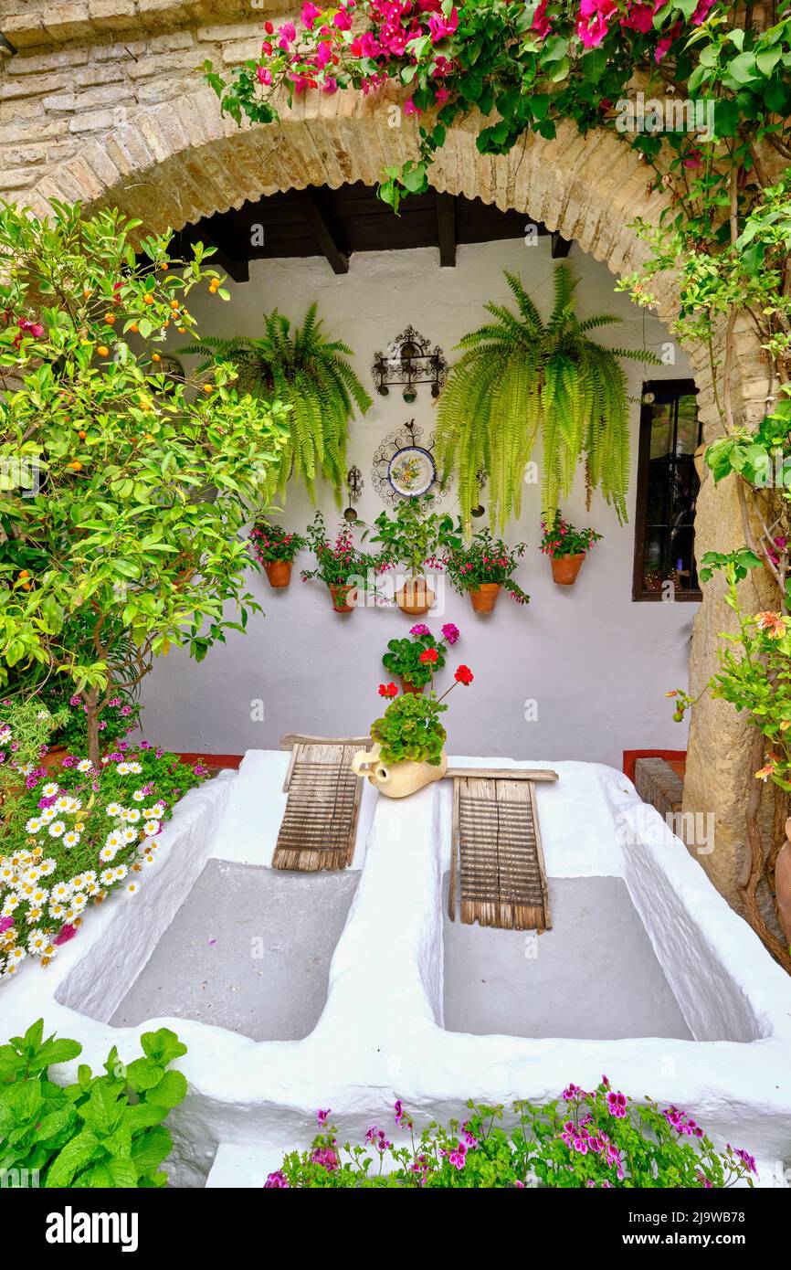 Patio (courtyard) full of flowers  and freshness of the Asociacion de Amigos de los Patios Cordobeses, San Basilio district. A UNESCO Intangible Cultu Stock Photo