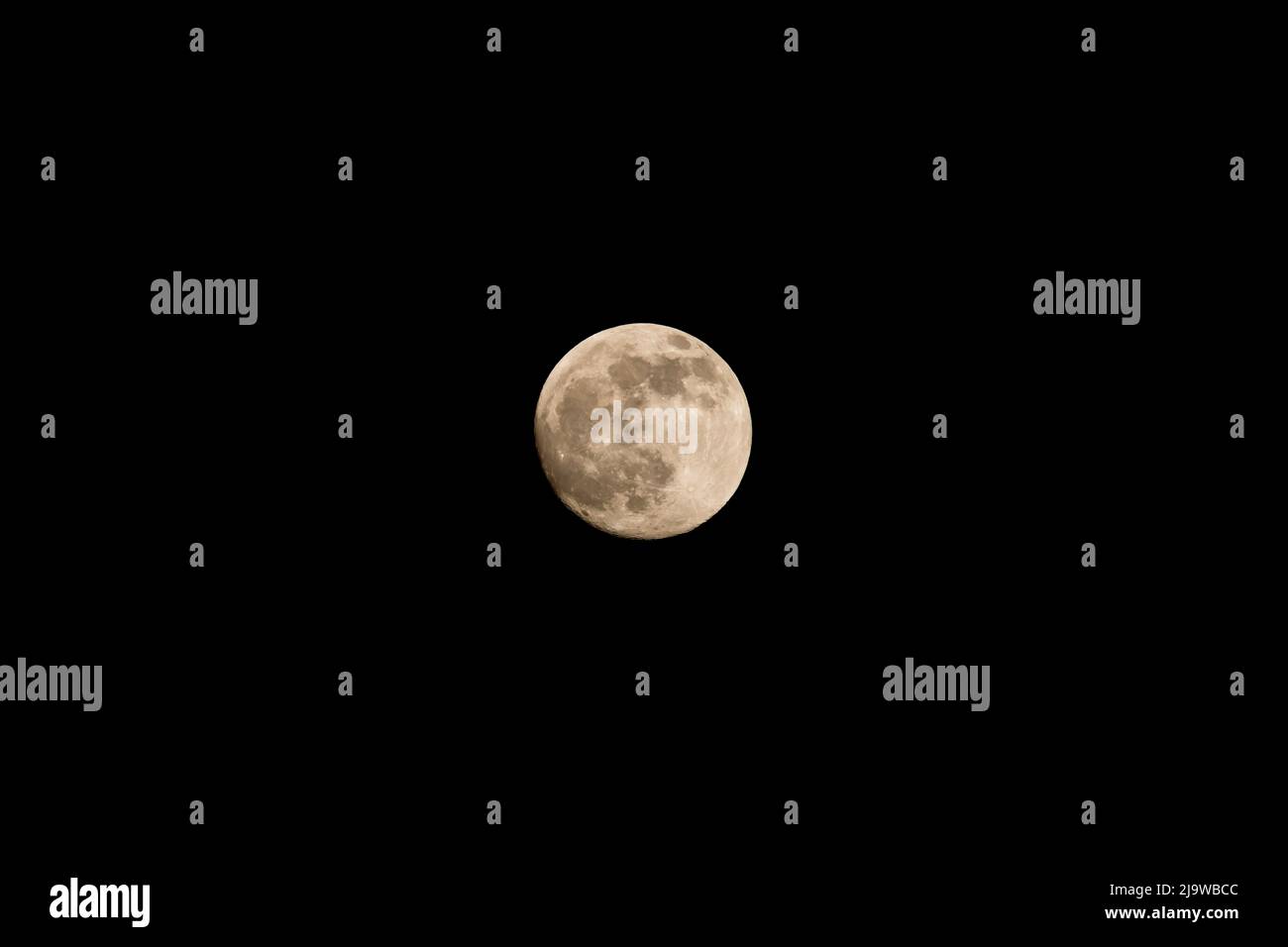 Flower moon, the full moon in May, isolated on the black night sky ...
