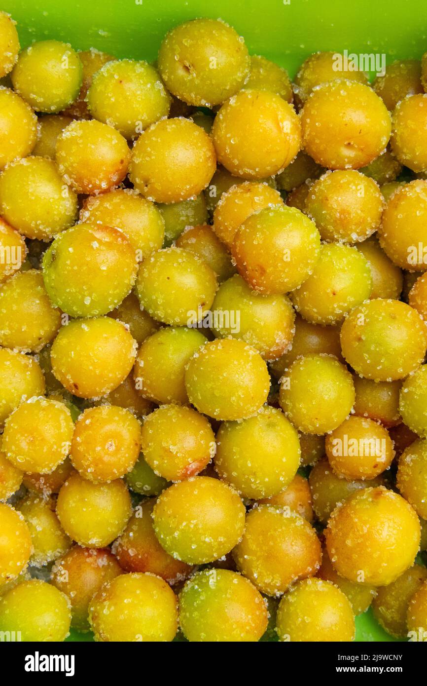 Preserved Fruit Dried Plum Salty Sweet,sundried and salted plums for