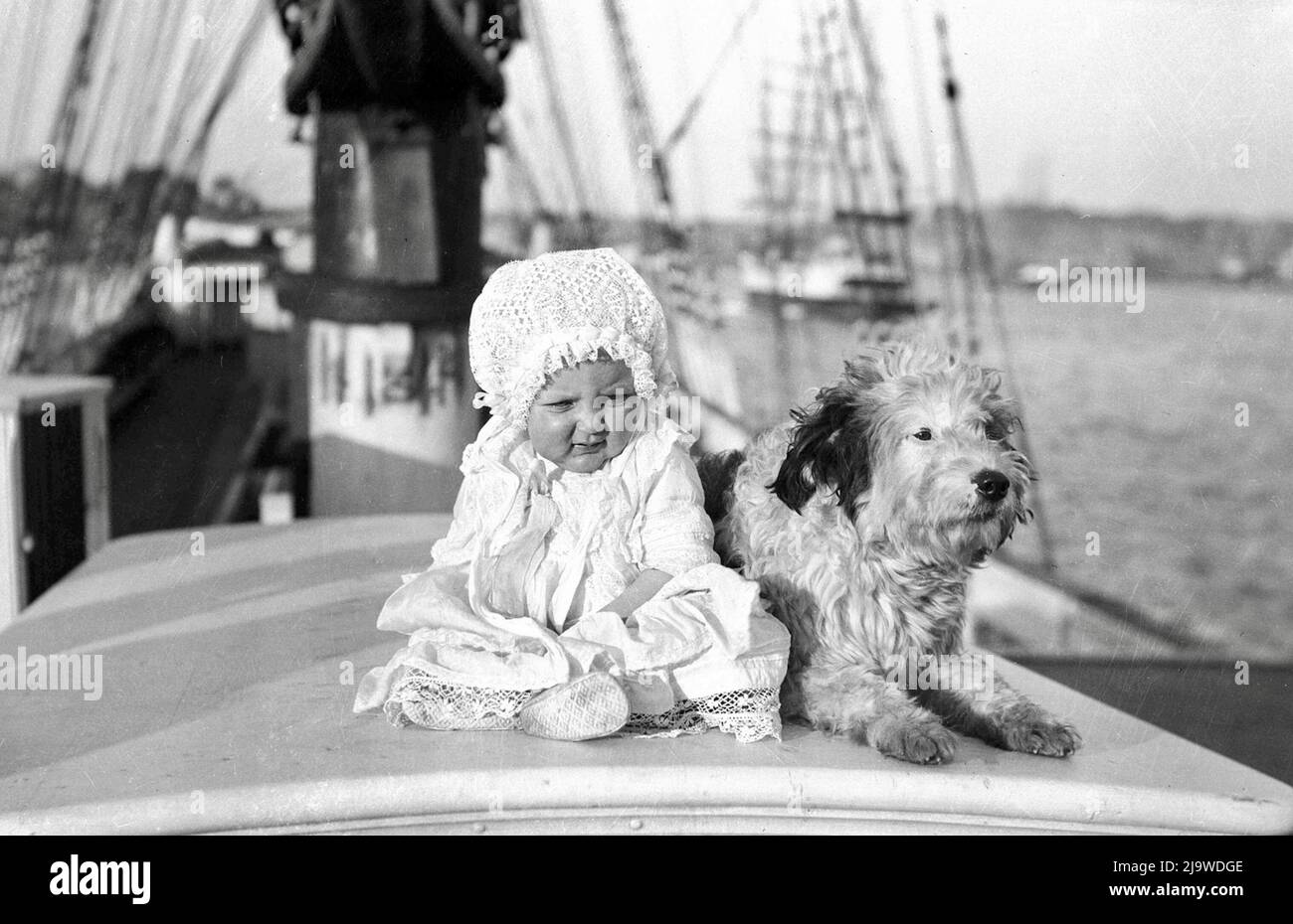 Sam Hood - Baby and a Dog on a Sailing Ship - 1910 Stock Photo