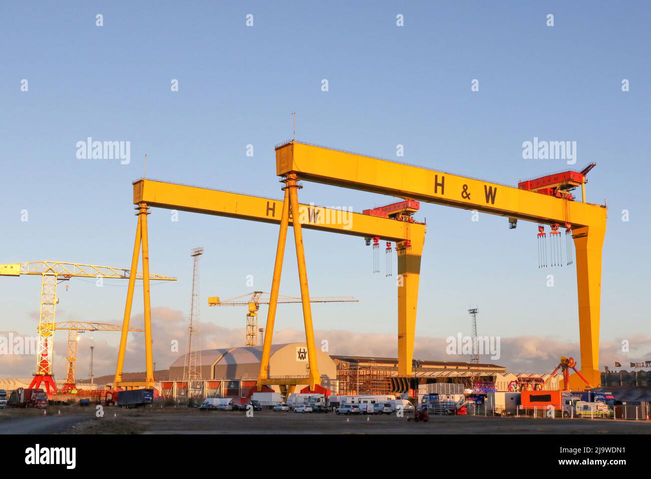 Cranes Belfast industrial harbour port, two yellow H&W cranes in evening sunlight over area operated by Harland & Wolff Heavy Industries. Stock Photo