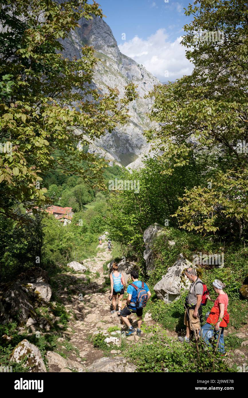 Walkers descend towards the Spanish mountain village of Bulnes, a popular Spanish hiking destination for visitors to the Picos de Europa National Park, on 15th May 2022, at Bulnes, Picos Mountains, Asturias, Spain. Reached by path or by funicular railway, the tiny village of Bulnes provides beds and food to passing walkers. Stock Photo
