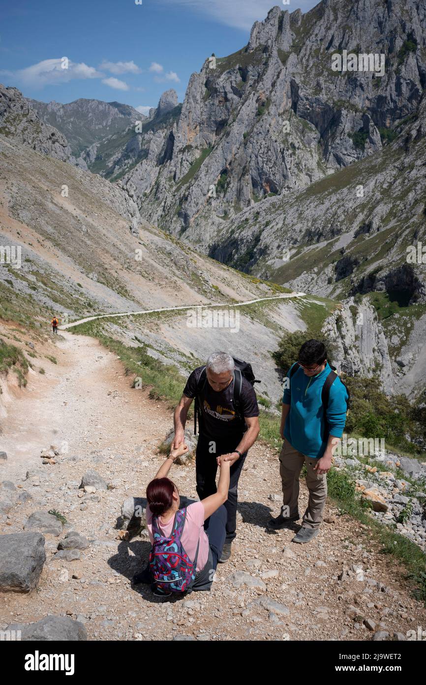 Fellow-walkers help a woman to her feet after tripping on stones in the Cares Gorge (Rio Cares), a major Spanish hiking destination for visitors to the Picos de Europa National Park, on 15th May 2022, near Poncebo, Picos Mountains, Asturias, Spain. Known as the “Divine Gorge”, the 22km trail stretches between Caín and Poncebos in Asturias among mountains over 2,000 metres tall, along the imposing ravine carved out by the river Cares. Stock Photo