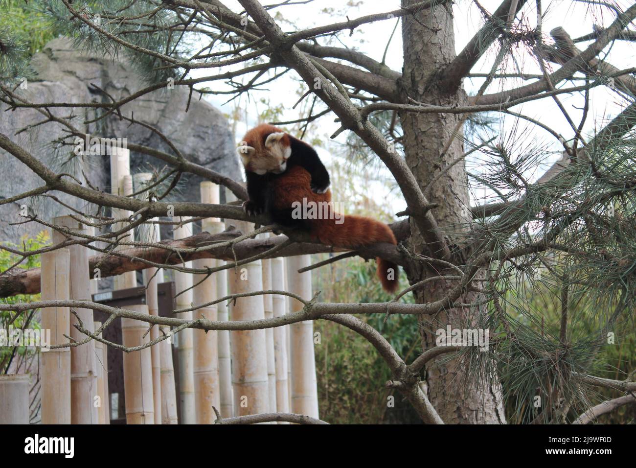 Kontakt zoo hi-res stock photography and images - Alamy