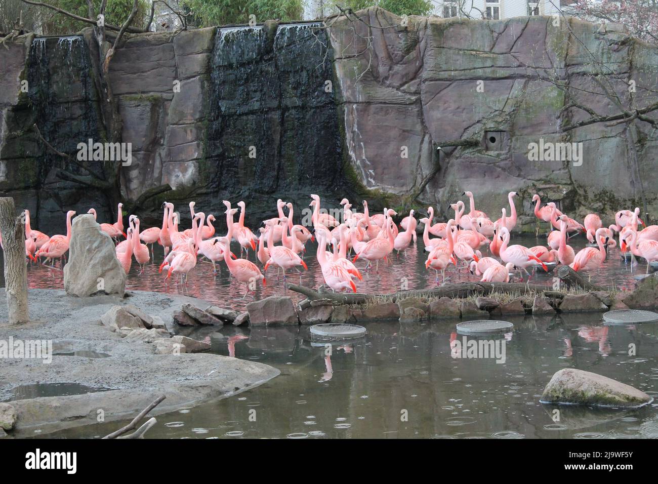 Kontakt zoo hi-res stock photography and images - Alamy