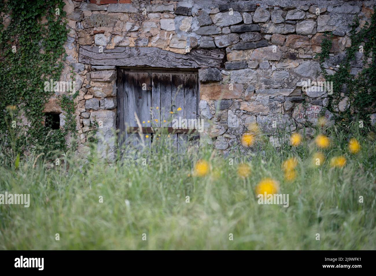 A derelict farming property in a rural Spanish village, on 15th May 2022, in Mesta de Con, Picos Mountains, Asturias, Spain. Stock Photo