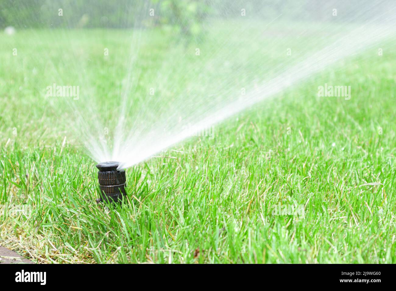 Garden irrigation system lawn. Automatic lawn sprinkler watering green ...