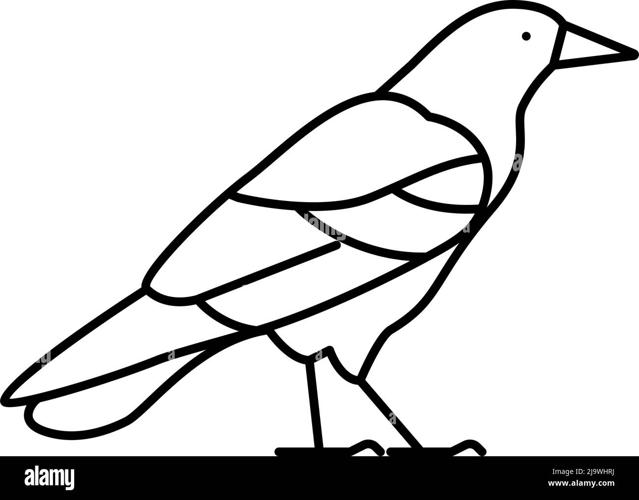 crow bird line icon vector illustration Stock Vector Image & Art - Alamy