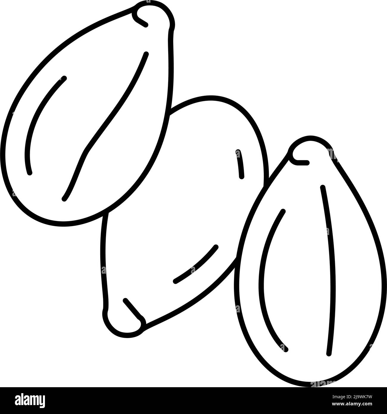 sesame seed line icon vector illustration Stock Vector Image & Art - Alamy