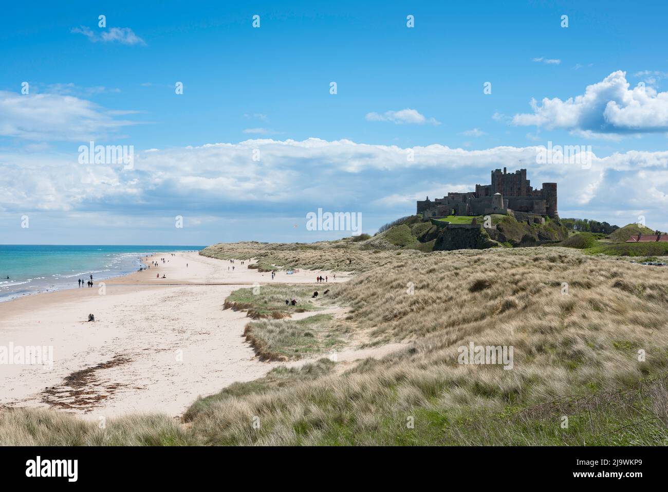 Northumberland coast, view in late spring of a typically Northumbrian stretch of sand dunes and beach beside Bamburgh Castle, Northumberland, England Stock Photo