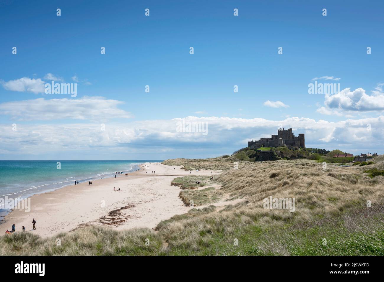 Bamburgh beach, view in late spring of Bamburgh Beach with Bamburgh Castle sited dramatically above the sand dunes, Northumberland, England, UK Stock Photo
