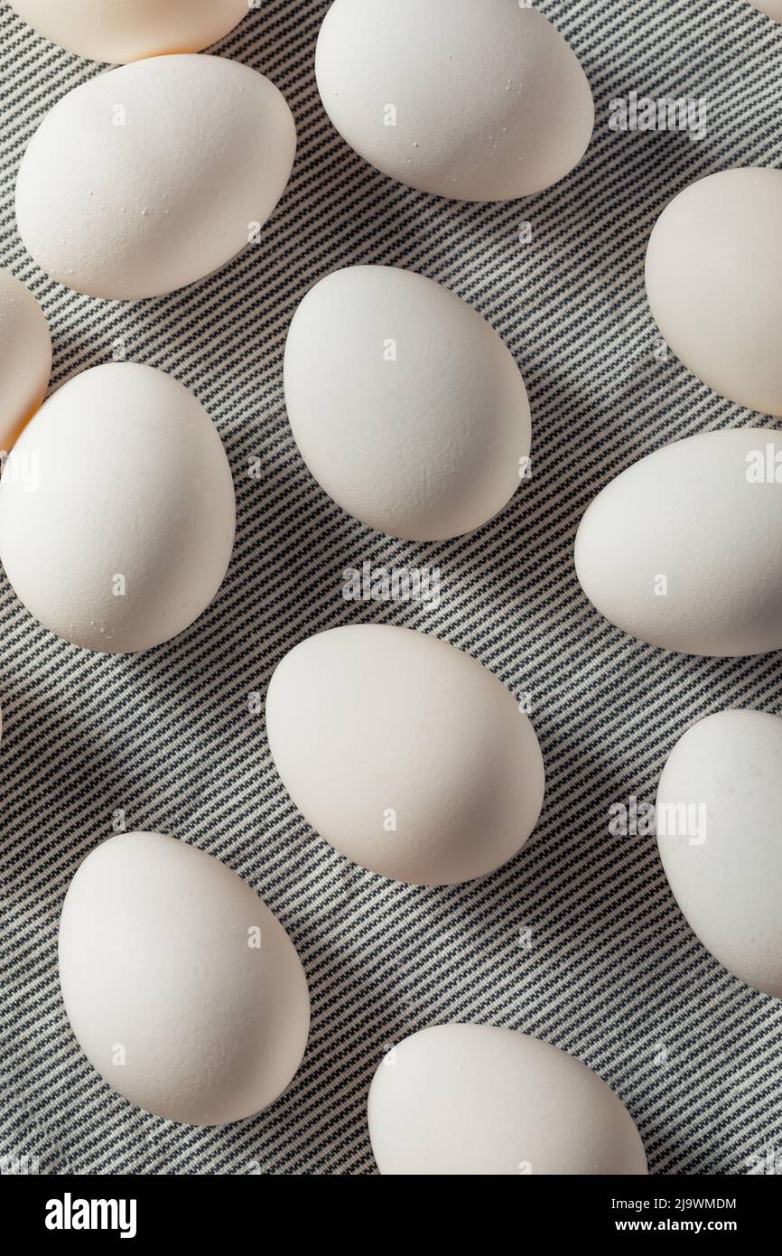 Raw Organic Cage Free White Eggs in a Group Stock Photo