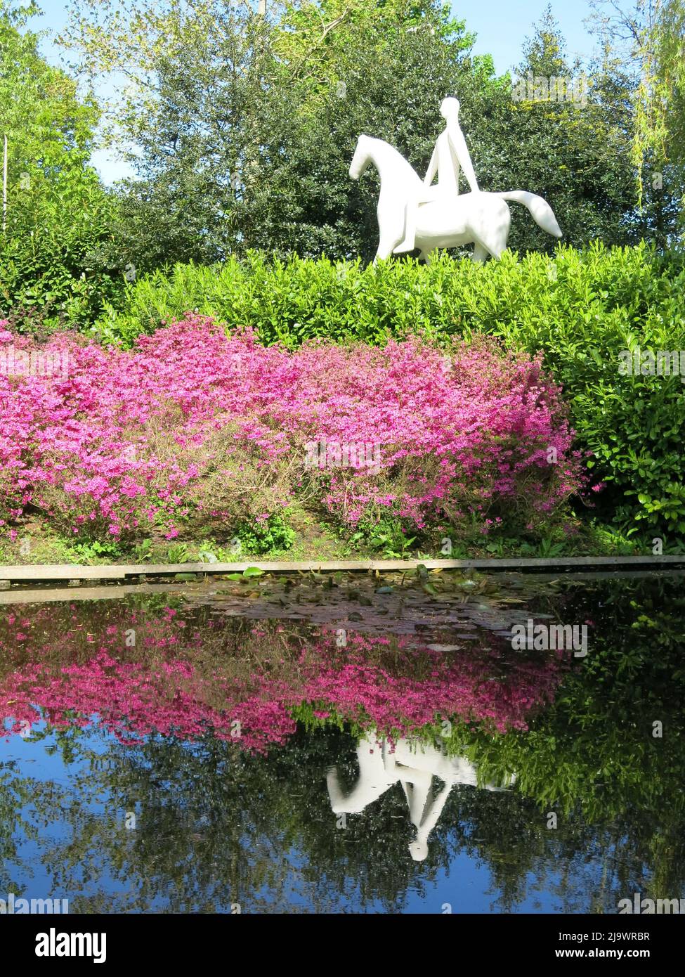 White sculpture of a man on a horse with the mass planting of pink & purple tulips, both reflected in the water at Keukenhof 2022. Stock Photo