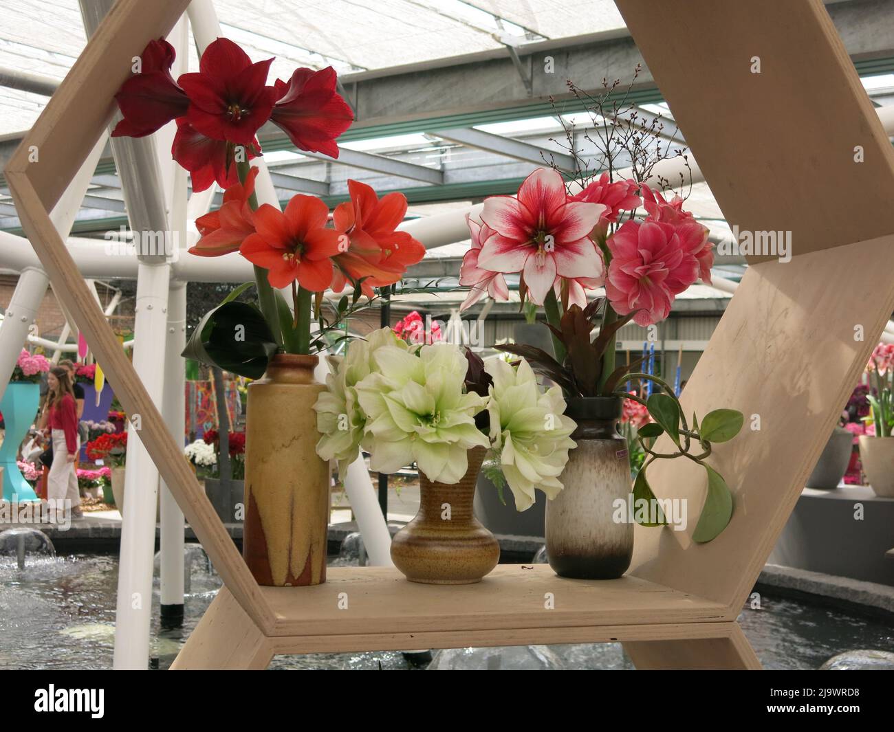 The flower arrangements and floral displays are works of art & creativity in the pavilions at Keukenhof 2022; ideas for home decor & interior design. Stock Photo