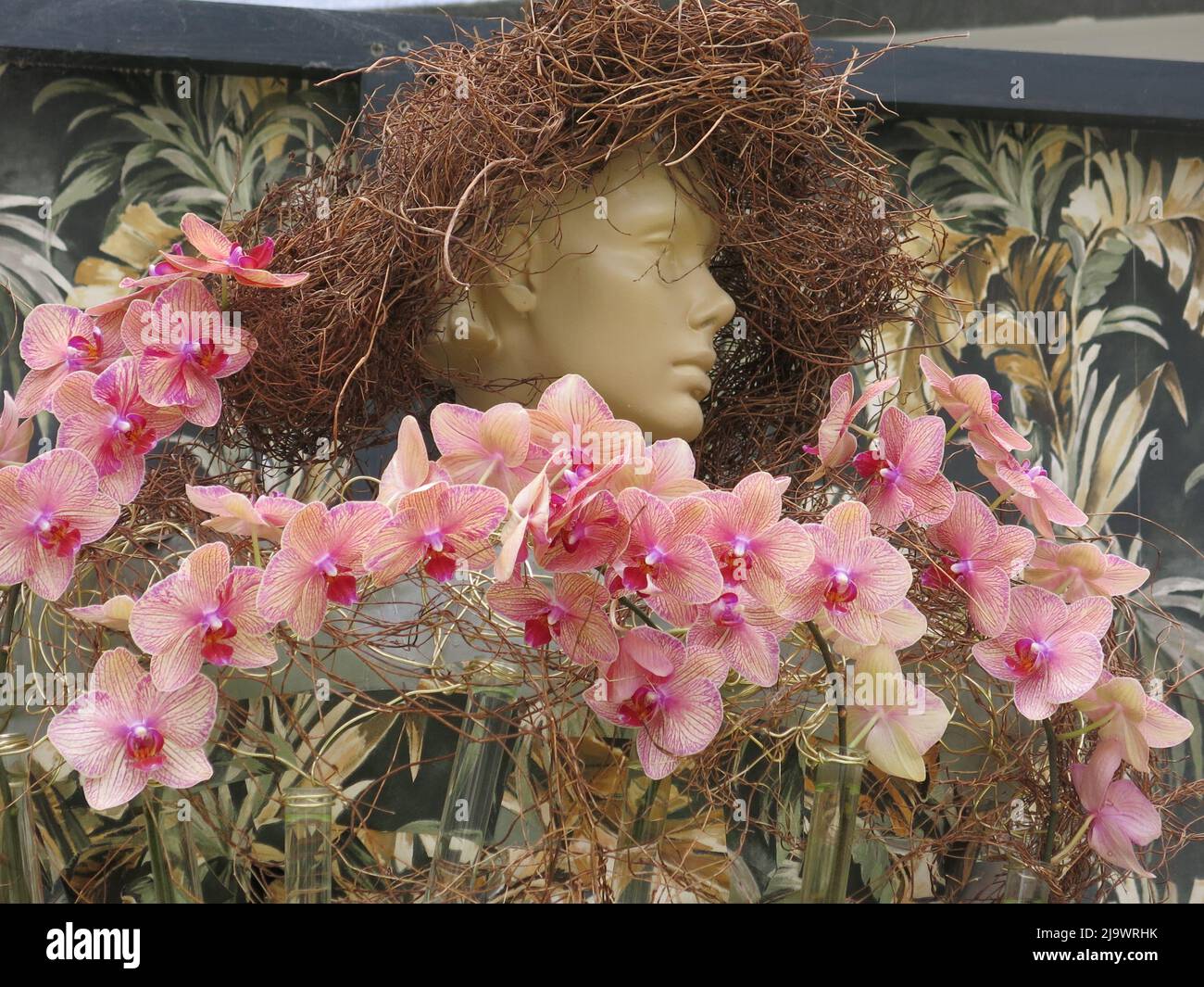 Close-up of a female mannequin's face with a bird's nest hairdo and an array of ornate, pink orchids; floral artistry in the Beatrix Pavilion 2022. Stock Photo