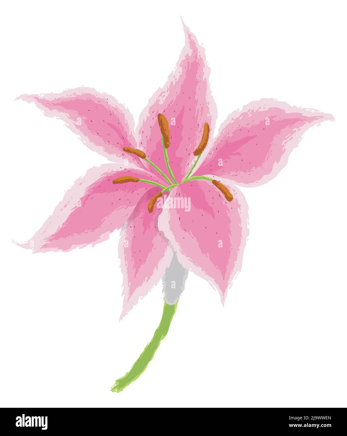 Soft bonding Cut Out Stock Images