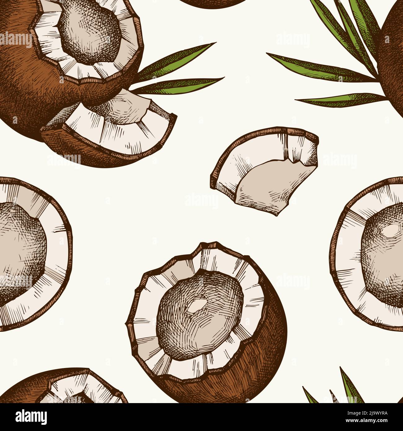 Fruits seamless pattern background design. Engraved style. Hand drawn coconut. Stock Vector
