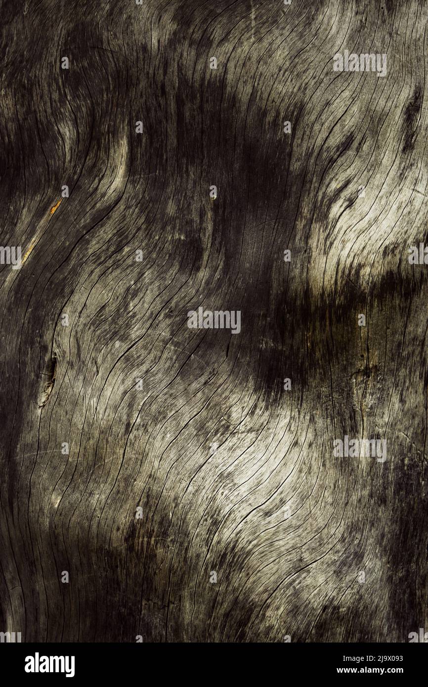 abstract background Gray texture of old wood Stock Photo - Alamy