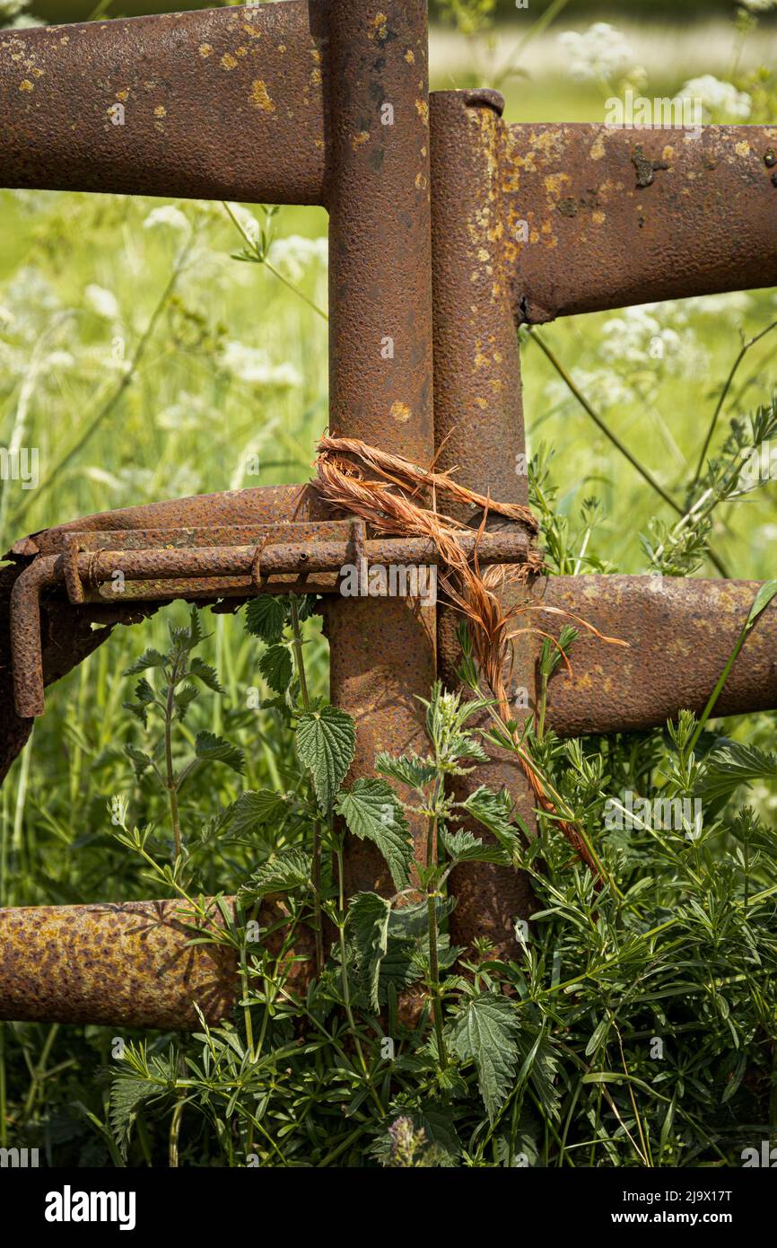 Rural security system Stock Photo Alamy