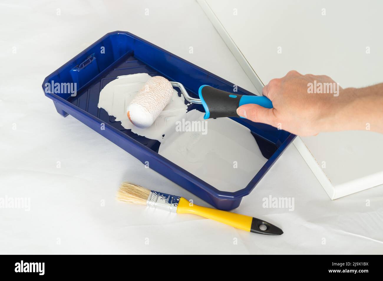 Hand with painter's utensils in tray with paint on white background. Copy space. Stock Photo