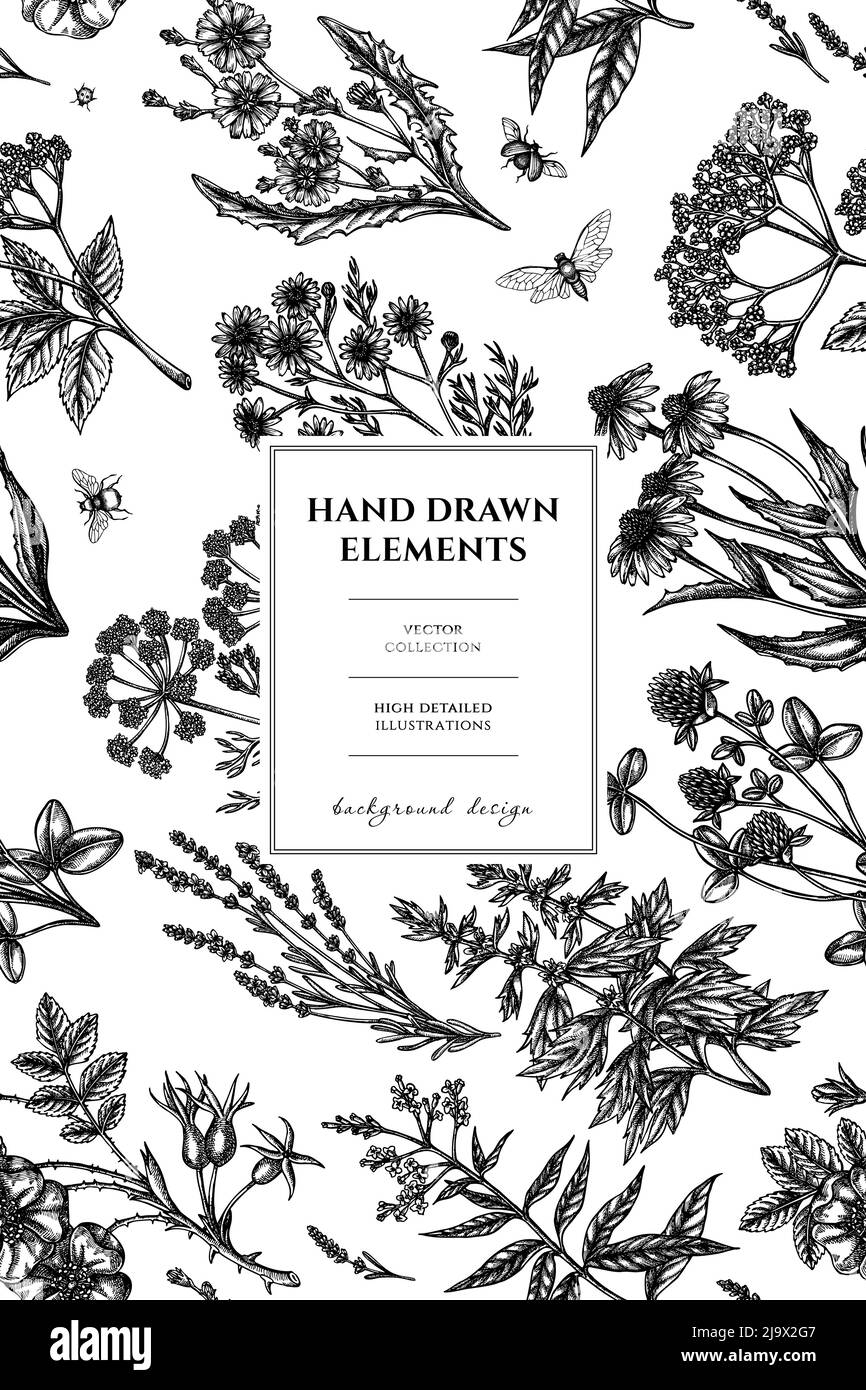 Tea herbs pattern card design. Hand drawn chamomile, chicory, cinnamon rose, etc. Stock Vector