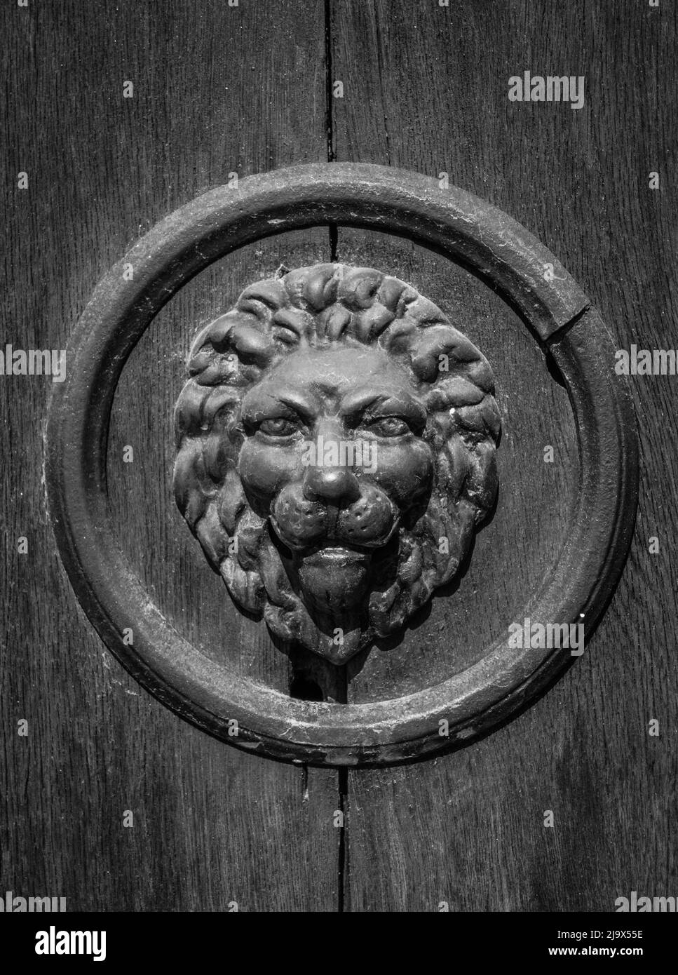 lion head on the door, black and white. Stock Photo