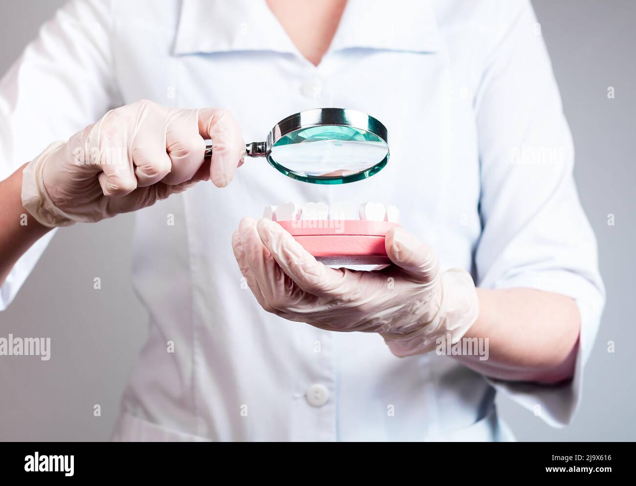 Dentist with magnifying glass over jaw model with teeth. Dental checkup