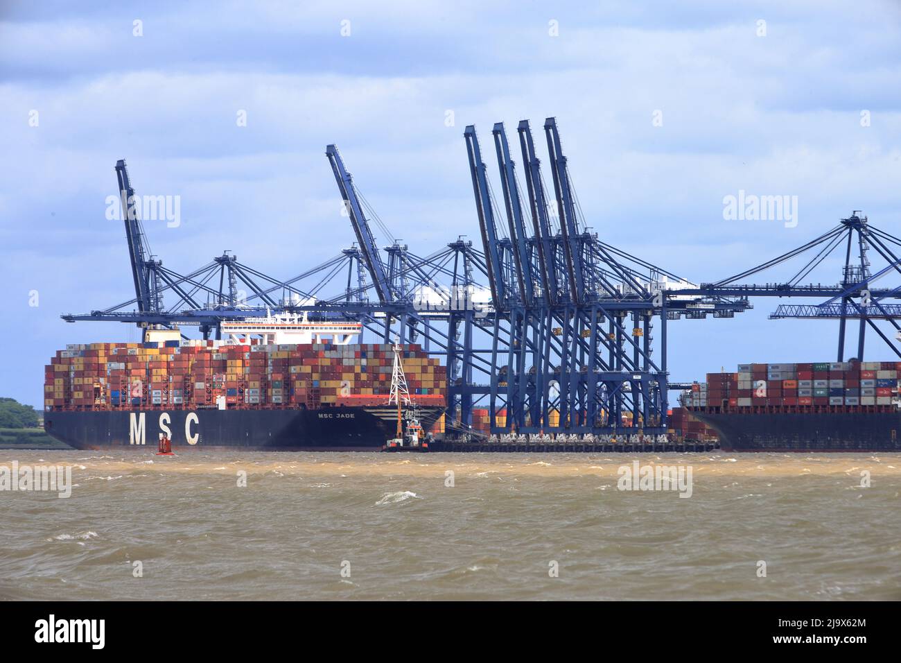 Container ship MSC Jade docked at the Port of Felixstowe, Suffolk, UK ...