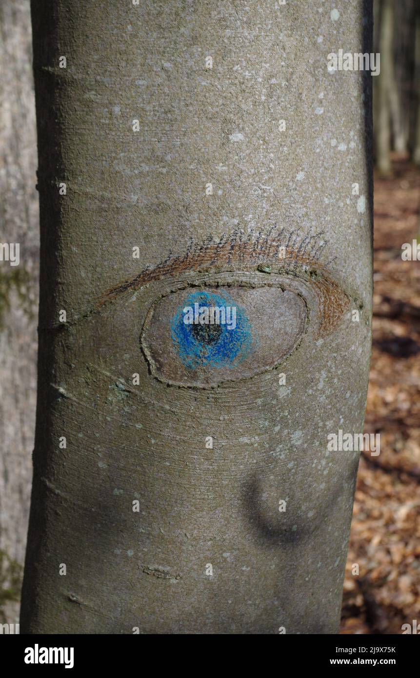 Bark painting hires stock photography and images Alamy