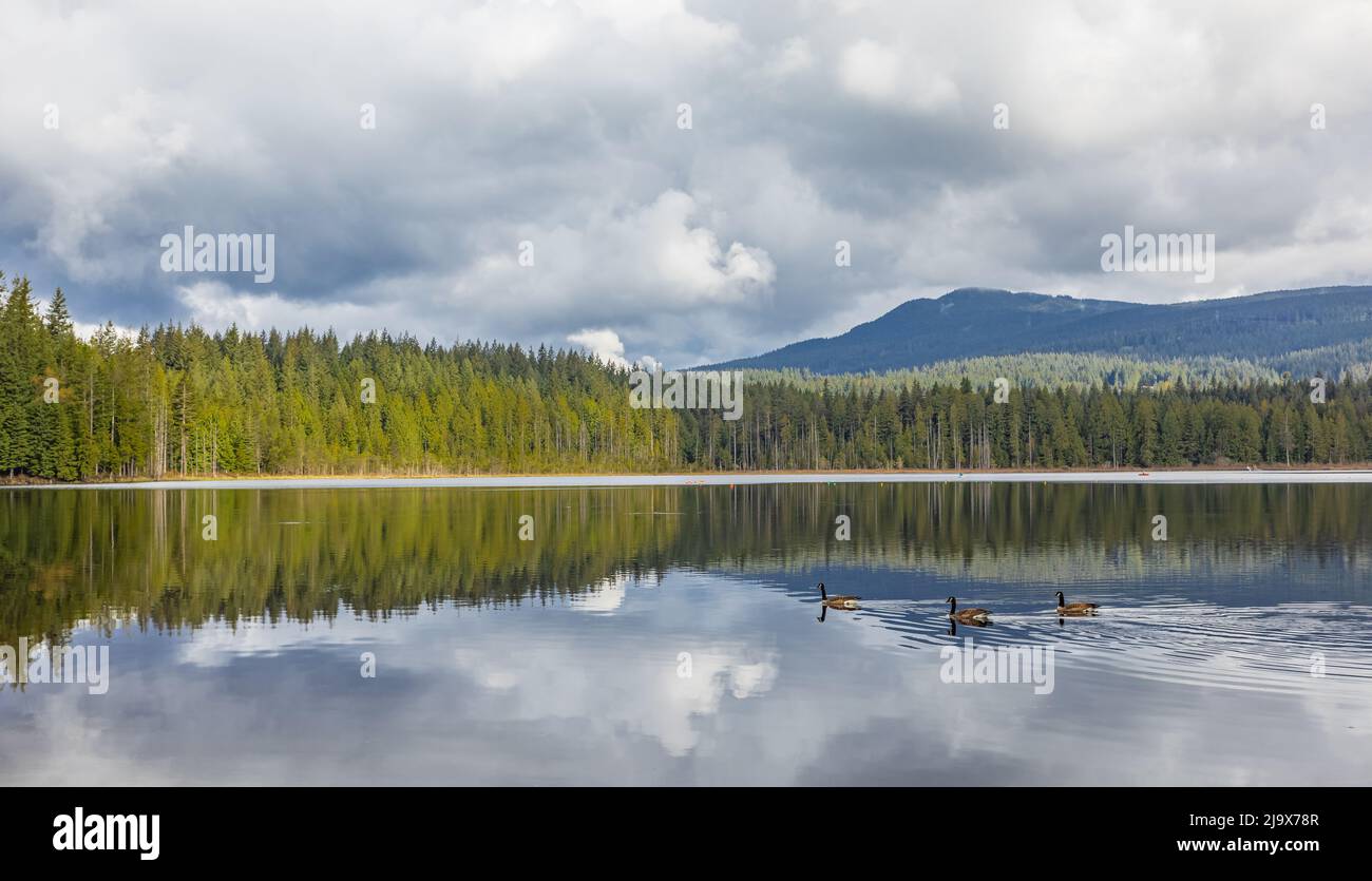 Whonnock lake park in Maple Ridge, BC Canada. Beautiful landscape of a lake. Travel photo, nobody, selective focus. Stock Photo