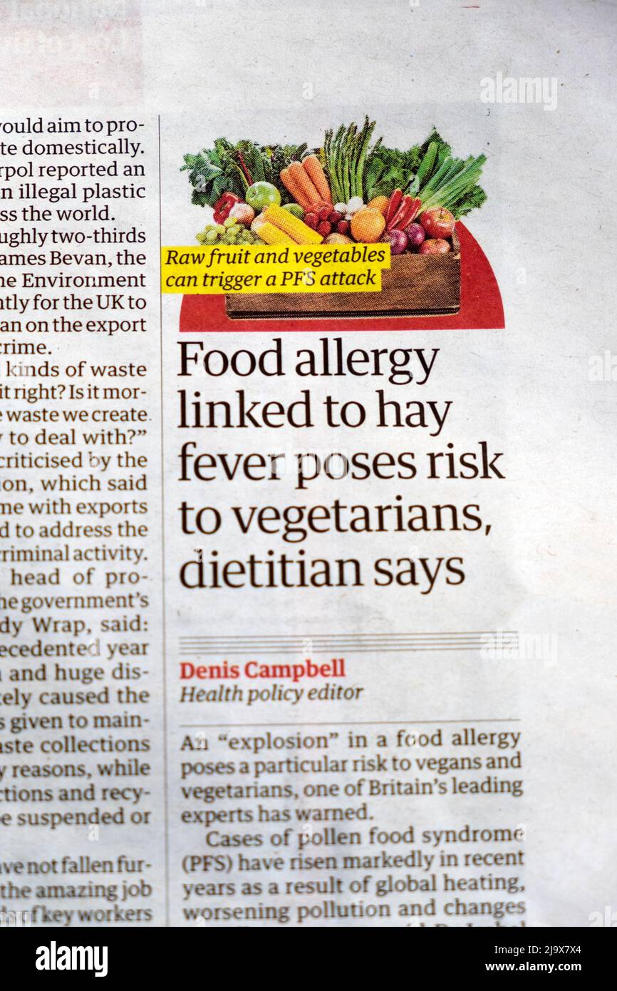 'Food allergy linked to hay fever poses risk to vegetarians dietitian says' Guardian newspaper headline recycling article clipping 11 May 2022 London Stock Photo