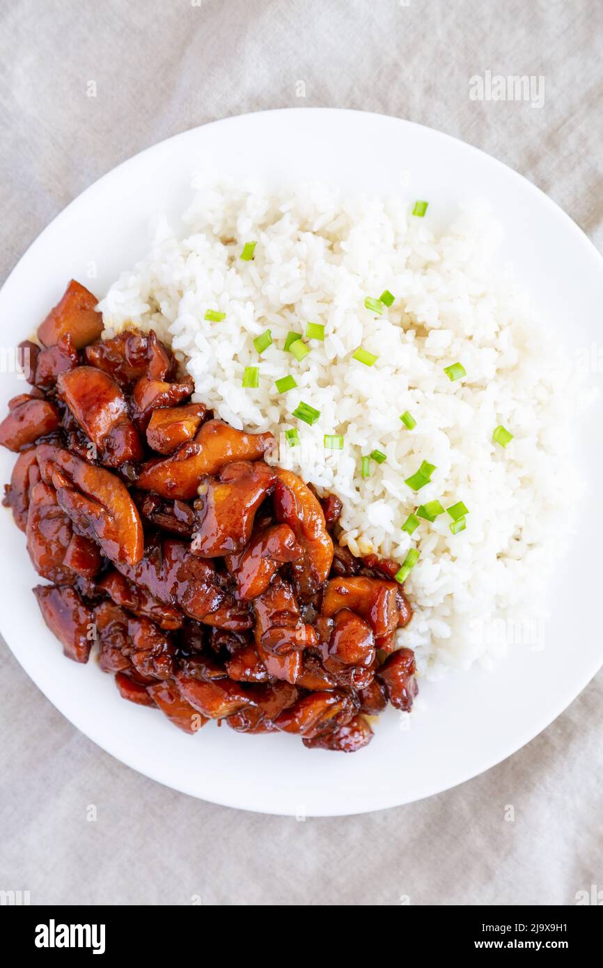 https://c8.alamy.com/comp/2J9X9H1/homemade-teriyaki-chicken-with-white-rice-on-a-plate-top-view-flat-lay-overhead-from-above-2J9X9H1.jpg