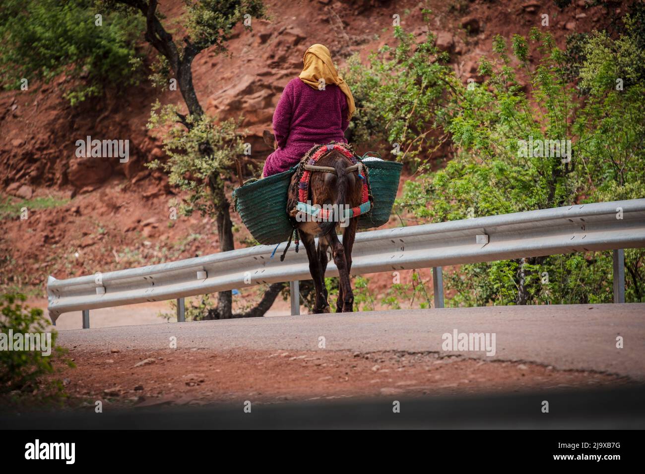 Berber woman riding a donkey, Ait Blal, azilal province, Atlas mountain range, morocco, africa Stock Photo